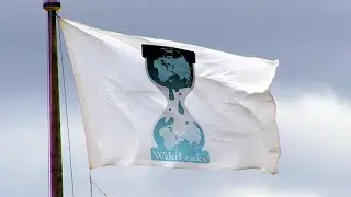 Rise of WikiLeaks | Bro History Podcast