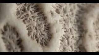 Macro-Textures
