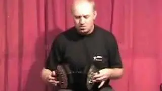 Simon Thoumire concertina