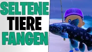ALLE SELTENEN TIERE - Quastenflosser & Glaskopffisch | Animal Crossing New Horizons Tipps deutsch