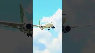 Mastering The Art Of Perfect Landings  #aeroplane #privatepilot #boeing #airbus #pilotlife