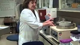 Body Fluids