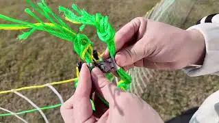 How to use electric fence for chicken? #reels #diy #fyp #tiktok #foryourpage #foryou #youtubeshorts