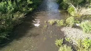 Witheren Rivers & Creeks No Yowies or Bigfoots Today