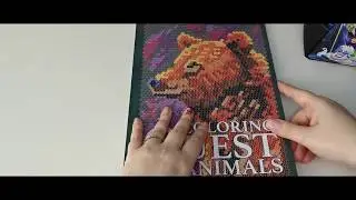 Adult Colour & Chat | Coloring Quest Animals