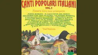 La povera Rosetta