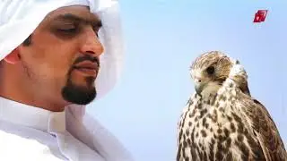 الجزائر و الكويت ... تطلعات إستراتجية في سماء الريادة
