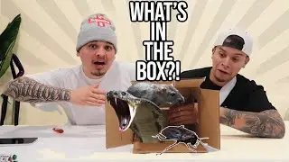 Crazy What’s in the box Challenge Ft Benny * must see *