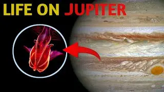 Scientists Discover Life On Jupiter's Moon | Hindi Explanation 