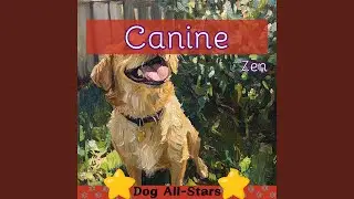 Pet Care Therapy