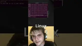 Windows ou Linux? Qual usar?