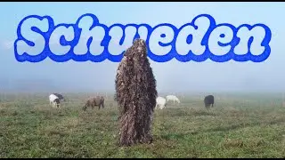 Diggerue & Zaza Mank - Schweden