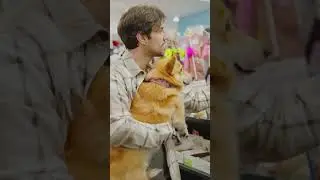 Best Pet Accessories You NEED 2024