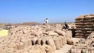 छिंदवाड़ा कुशमेली मंडी मक्का भाव पर्ची सहित 
