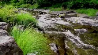 Waterfall Sounds for Sleep | Deep Sleep Water White Noise, Insomnia Relief, Relaxation & Baby Sleep