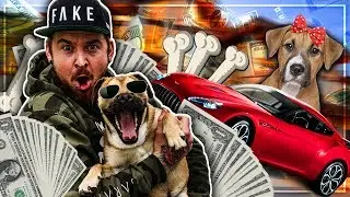 KANO bekommt seine eigene VILLA ! 🐶 | KANO will meine Kamera zerstören 🐕 | Der Keller