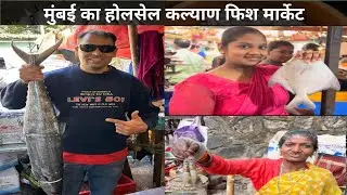 मुंबई का सस्ता होलसेल फिश मार्केट | Kalyan Fish Market | Kalyan Crab Market | Wholesale Crab Market 