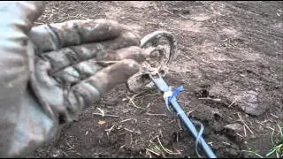 Испытание DD катушки на домашним полигоне после Моно катушки
