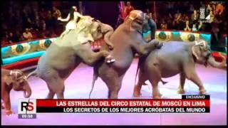 Las estrellas del Circo Estatal de Moscú en Lima