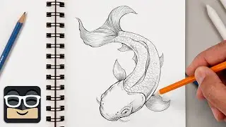 How to Draw a Realistic Koi Fish | Step by Step Sketch Lesson