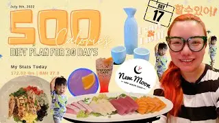 500 Calories Weight Loss Diet Plan - Day 17 #TheTravelQuintessential #500CaloriesDiet