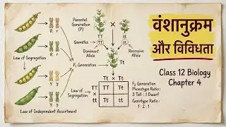 Inheritance & Variation Class 12 Biology | Chapter 4 | NCERT Easy Way | Boards + NEET #biology