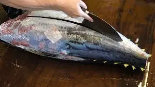Monster Yellowfin Tuna Cutting for SUSHI  SASHIMI MEAL