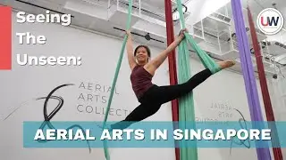 Seeing The Unseen:  Aerial Arts in Singapore