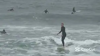 Easy Sunday in North County