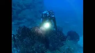 Immersioni a Naregno Elba 2016