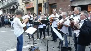 Rondalla Alaitasuna Errondaila  