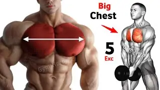 5 Best Chest Workout for Mass and Definition in Gym