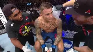 All Action | Khabib Nurmagomedov vs Dustin Poirier Highlights UFC 242 - HD