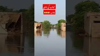 Flood 2025 #2025flood #floodnews #silab #chanab #viral #floodvlog