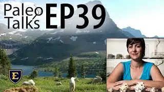 Paleo-Dynamics: How Species Move as Climates Change [Paleo Talks EP39]