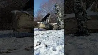 Мороз и солнце. Финансовая помощь бездомным собачкам: 2202 2056 2556 3355- Александр К.