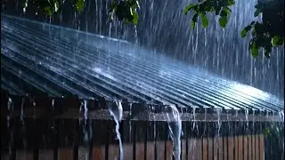 Rain on Clay Tiles for Sleeping - 1 Hour Relaxing Rain Sounds 4k