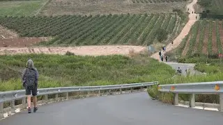 Camino Francés, Logrono  to Burgos, sept 2024