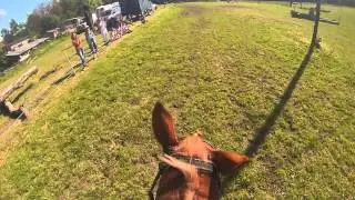 PARCOUR CONCOURS COMPLET D'EQUITION CCE ( CROSS) CLUB ELITE