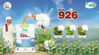 Rasi 926 Cotton best vertya, #Rasi 926