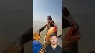 Chacha different methods of Fishing #fishing #fishingmethods #viralchacha