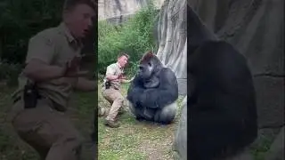 The Unexpected Turn.