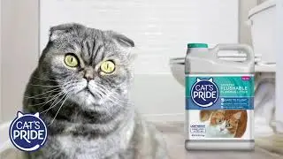 Cat&rsquo;s Pride&reg; Flushable Litter