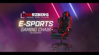 Herzberg HG 8080  Racing Car Style Ergonomic Gaming Chair