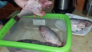 هعيشكوا يوم دمياطى على أصوله اللهم بارك هذا البيت 🏠 