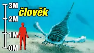 Top 5 NEJDIVNĚJ&Scaron;&Iacute; prehistorick&aacute; zv&iacute;řata světa