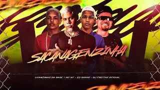 SACANAGENZINHA - EO BINHO,LUANZINHO REI DAS INDIRETAE MC KF - REMIX BREGA FUNK