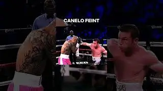 ⭐Boxing Feints⭐ #boxing #boxingstrategy #boxfight #box #canelo #royjones #bolo