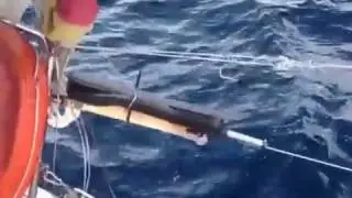 PETER FOERTHMANN - WINDPILOT Video