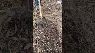 Rural Farmer #4620